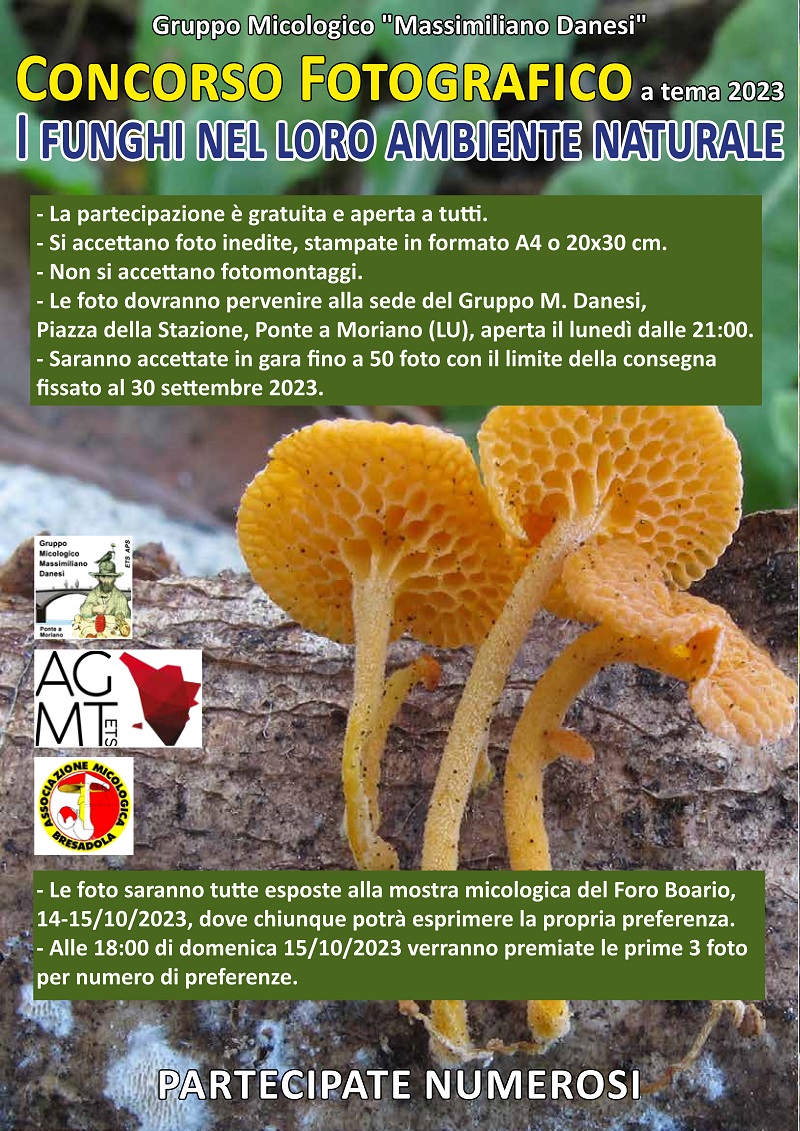 Concorso fotografico 2023